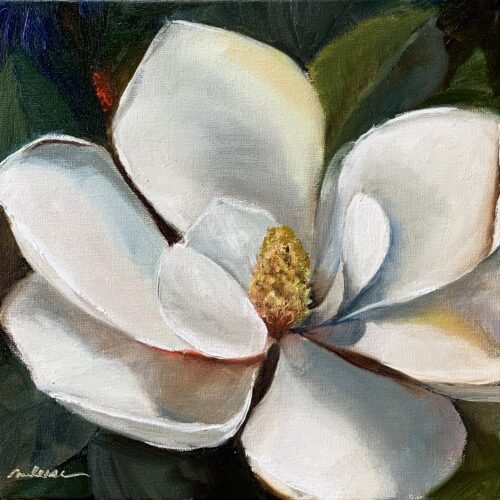 Magnolia's Bloom_MilessaMurphy