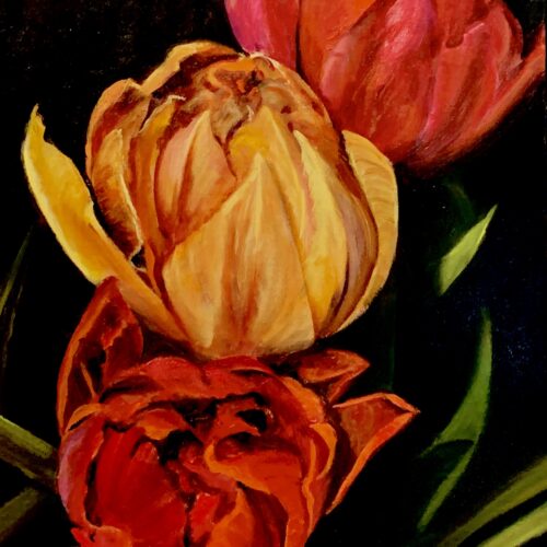 Tip-toeing Thru the Tulips